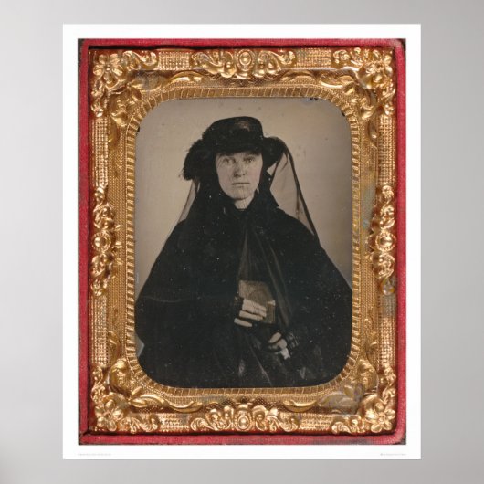 Jonge goudweduwen (399889) poster (Voorkant)