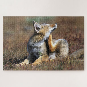 Jonge grijze vos in Torres Del Paine National Park Legpuzzel