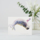 Jonge grijze zeehond Gweek 2003 Briefkaart (Staand voorkant)