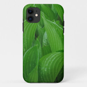 Jonge Hostas met regendruppels iPhone 11 Hoesje