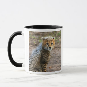 Jonge jachtluipaard Acinonyx Jubatus) Mok