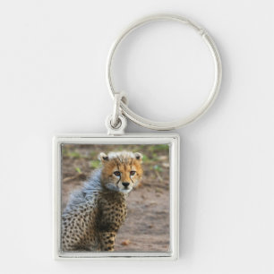 Jonge jachtluipaard Acinonyx Jubatus) Sleutelhanger