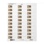 Jonge leeuw etiket (Full Sheet)