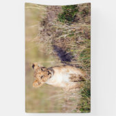 Jonge leeuw spandoek (Verticaal)