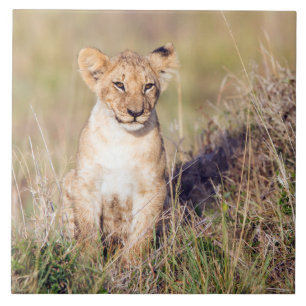 Jonge leeuw tegeltje