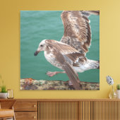 jonge meeuw canvas afdruk (Insitu (Woonkamer))