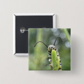Jonge Monarch Butterfly Caterstyle Vierkante Button 5,1 Cm (Voorkant /achterkant)