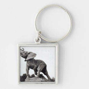 Jonge olifant gevangen in een val sleutelhanger