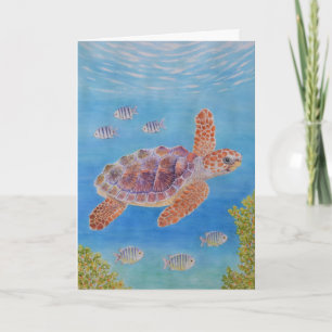Jonge onechte karetschildpad kaart