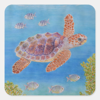 Jonge onechte karetschildpad vierkante sticker