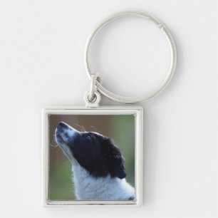 jonge pup Border Collie Sleutelhanger