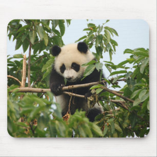 Jonge reuzenpanda mousepad muismat