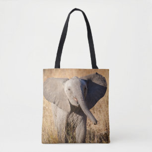 Jonge savanneolifant draagtas