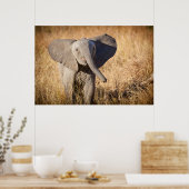 Jonge savanneolifant poster (Keuken)