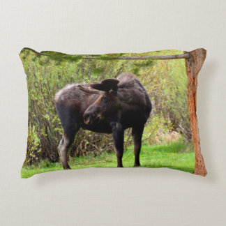 Jonge stier eland accent kussen