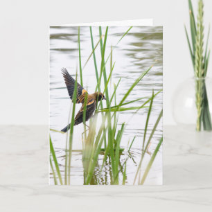 Jonge vogel in vlucht kaart