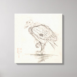 Jonge vogel, sta naar links op één poot, Jan Ma Canvas Afdruk