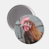 Jonge Welsummer Haan Kip Magneet (Voorkant / Achterkant)