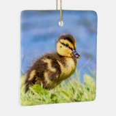 Jonge wilde eend keramisch ornament (Rechts)