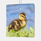 Jonge wilde eend keramisch ornament (Links)
