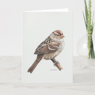 Jonge Wit-gekroonde Sparrow Art Kaart
