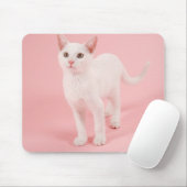 Jonge witte kat 2 muismat (Met muis)