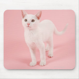 Jonge witte kat 2 muismat