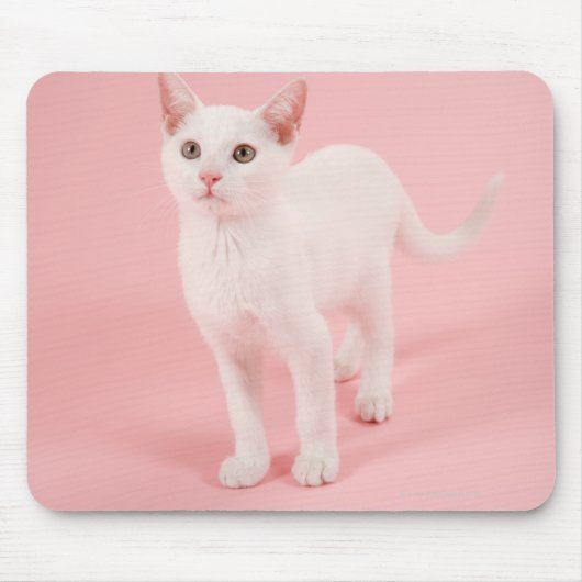 Jonge witte kat 2 muismat (Voorkant)