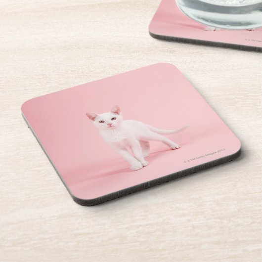Jonge witte kat drankjes onderzetter (Linkerzijde)