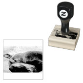 Jonge zee leeuw 	rubberstempel (Gestempeld)