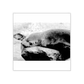 Jonge zee leeuw 	rubberstempel (Afrduk)