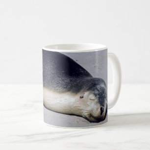 Jonge zeehond die op het strand slaapt - Australië Koffiemok