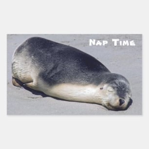 Jonge zeehond die op het strand slaapt - Australië Rechthoekige Sticker