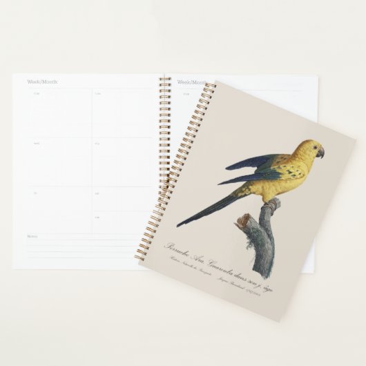 Jonge Zonnekonkoor or Aratinga solstitialis Planner (Display)