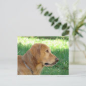  jongen briefkaart (Staand voorkant)