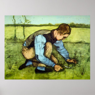 Jongen die gras knipt met sikkel door Vincent van Poster