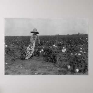 Jongen die katoenfoto's plukken West, Texas Poster