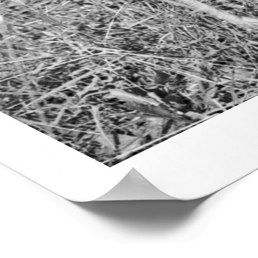 Jongen die met de hand antilopen poster (Hoek)