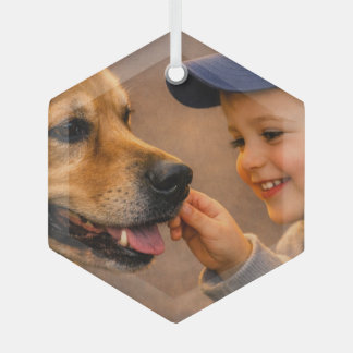Jongen en zijn hond glazen zeshoekige kerstbal glas ornament