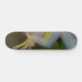 Jongen Gecko Skateboard (Horizontaal)