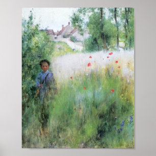 Jongen in de Meadow Poster
