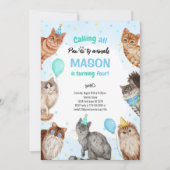 Jongen Kat Pawty Dieren Verjaardag Kaart (Voorkant)