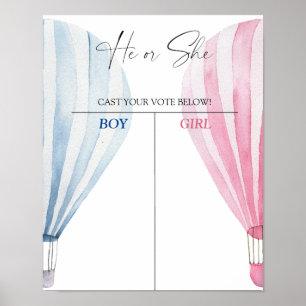 Jongen of meisje we weten geslacht openbaren grafi poster