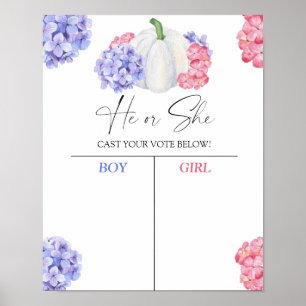 Jongen of meisje wij pompoen weten geslacht openba poster