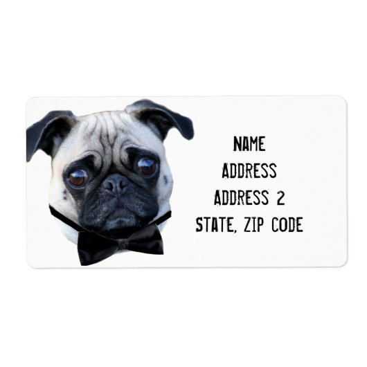 Jongen Pug-verzendlabels Etiket (Voorkant)