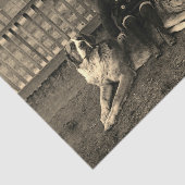 Jongen uit de 1890 die op de foto van Bernard Dog Tissuepapier (Detail)