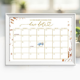 Jongen valt baby shower vervaldatum kalender poster