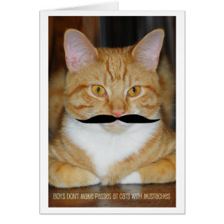 Jongens maken geen pasjes bij katten met snor