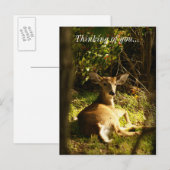 Jongeren in de weide denken aan jou briefkaart (Voorkant / Achterkant)