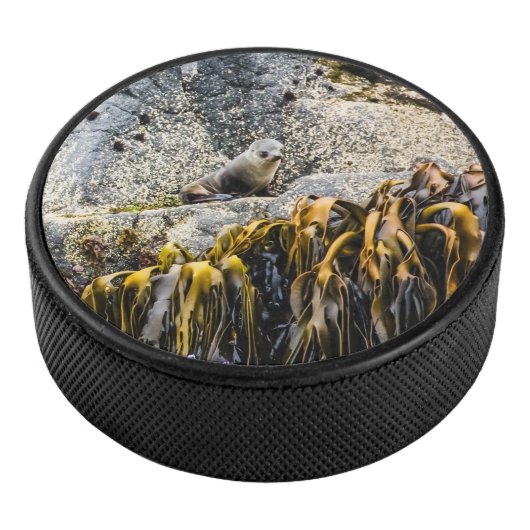 Jongeren pit op de rots hockey puck (3/4)